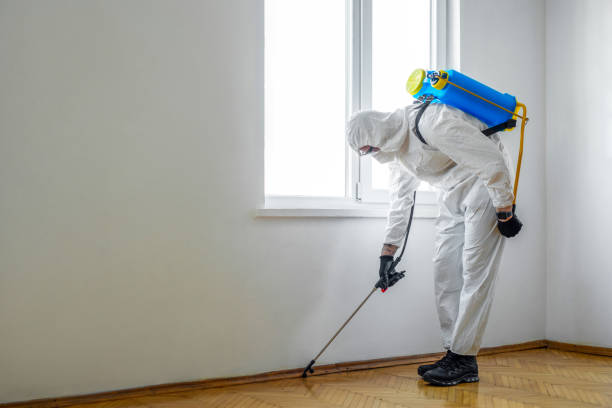 Best Best Pest Control Companies  in Lone Star, TX